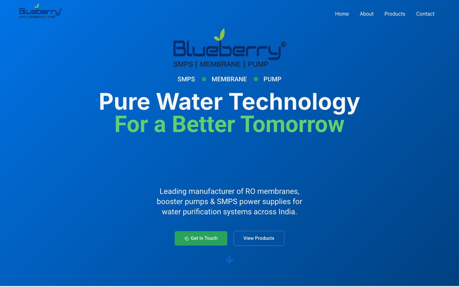 Client website — Blueberry water technology
